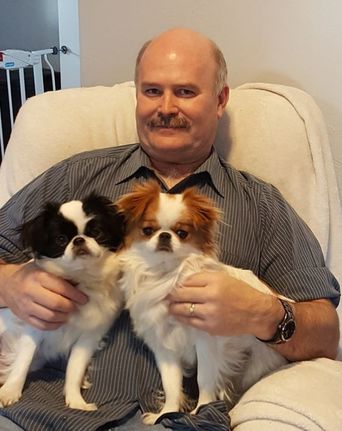 white japanese chin puppies for sale